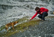 33 Ci accoglie la volpe di casa al rifugio